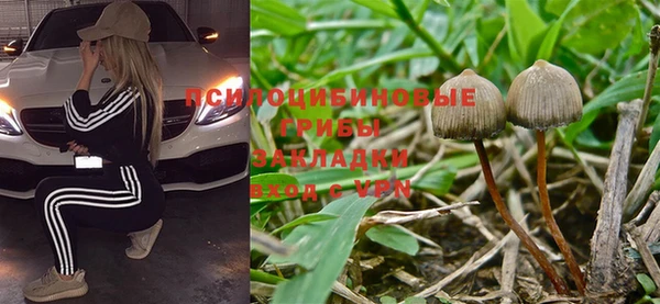 синтетический гашиш Арсеньев