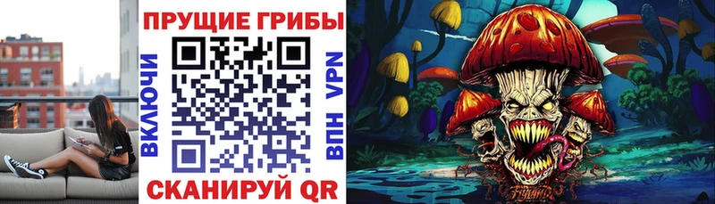 цена наркотик Лениногорск Галлюциногенные грибы MAGIC MUSHROOMS